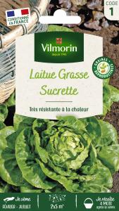 Laitue Sucrette (type Sucrine)